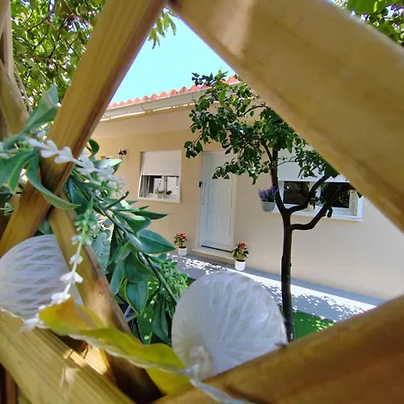 Charlie Apartmán Zadar