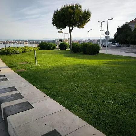 Charlie Zadar