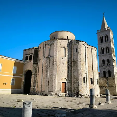Charlie * Zadar